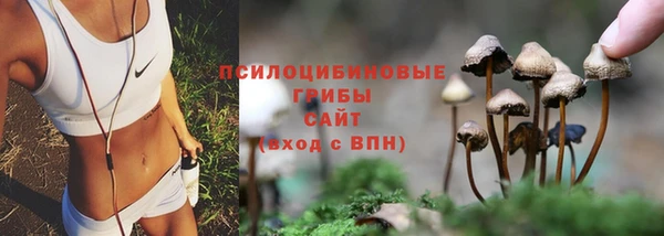 индика Рославль