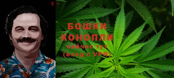 ГАЛЛЮЦИНОГЕННЫЕ ГРИБЫ Баксан